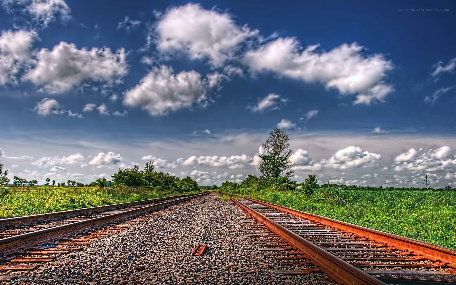 Railway tracks under blue sky