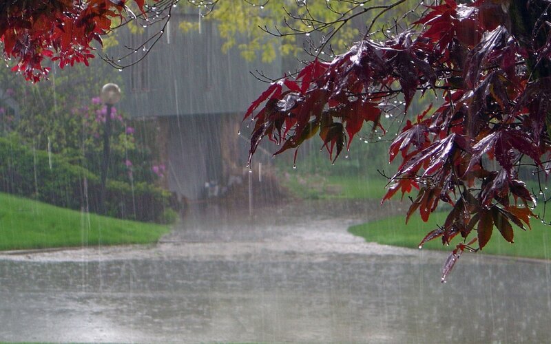 Rain falling on a garden path