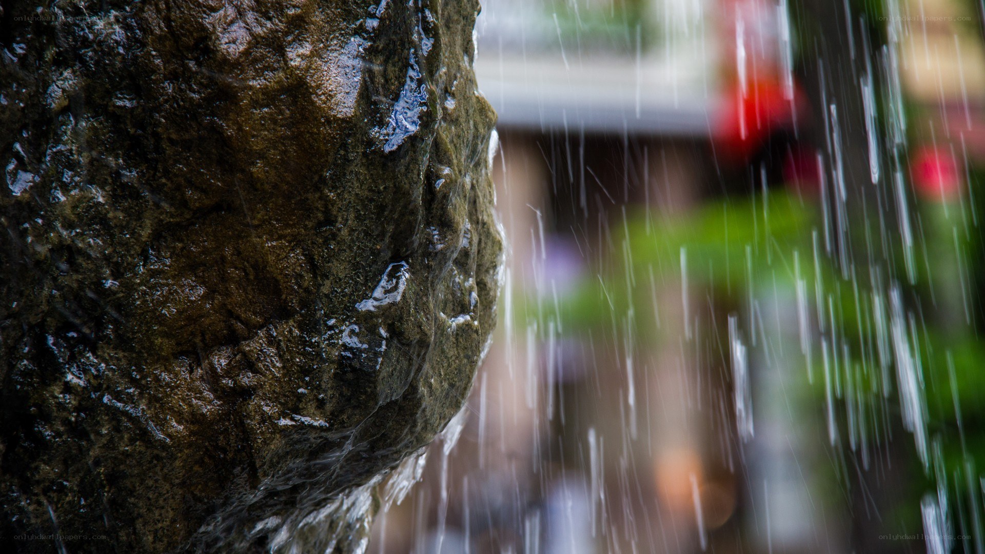 rain falling on a wet rock