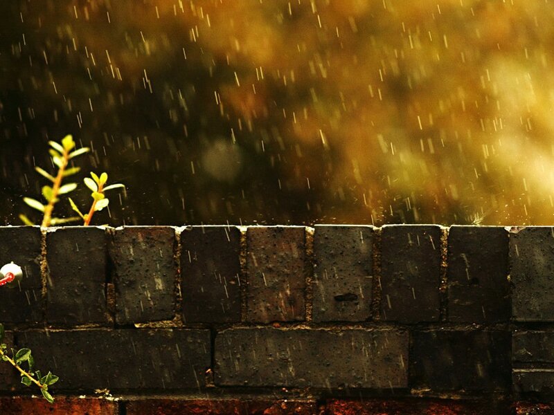Rain Falling on Brick Wall