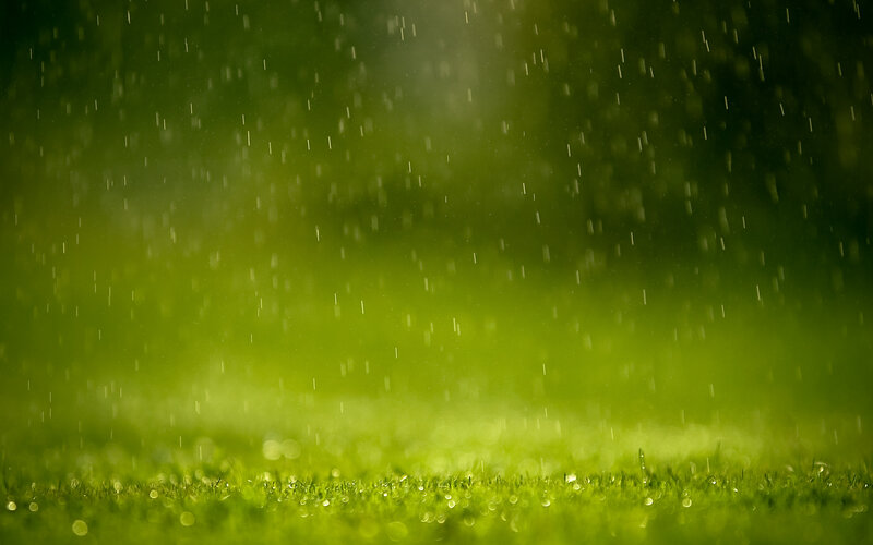 Rain Falling on Grass — Green, Calm