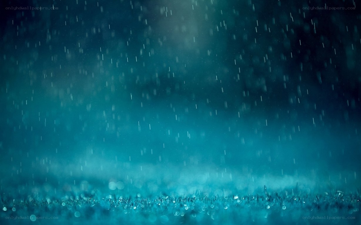 rain falling on grass