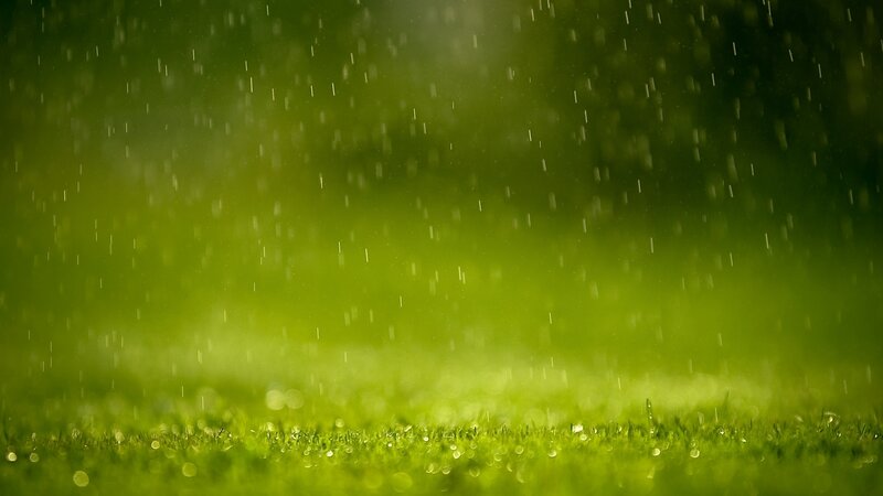 rain falling on green grass