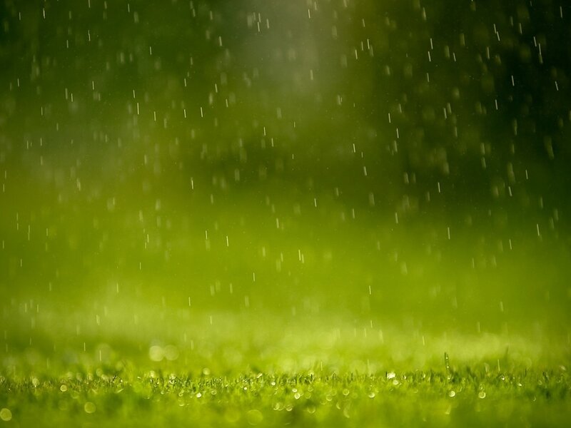 rain falling on green grass