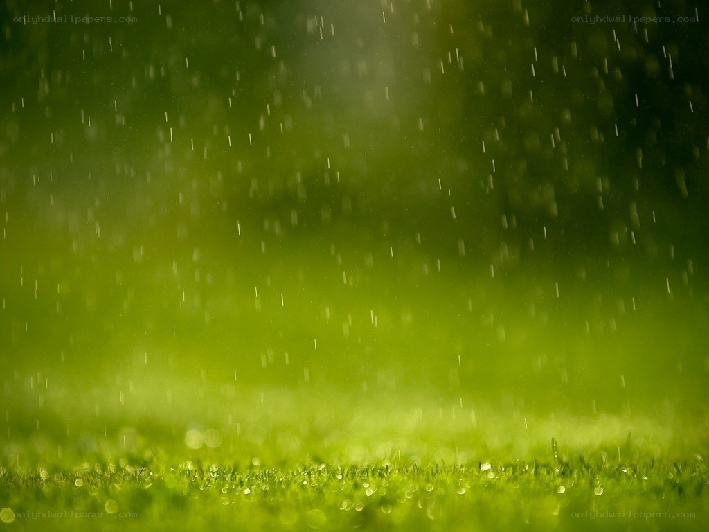rain falling on green grass