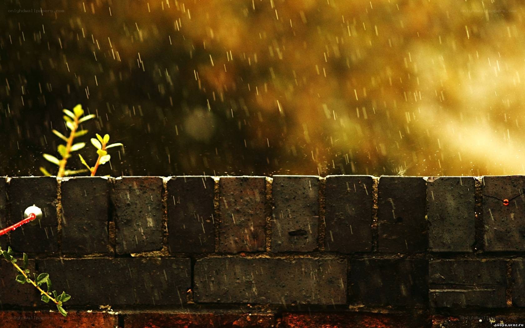 Rain on a brick wall