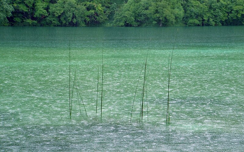 Rain on a green lake