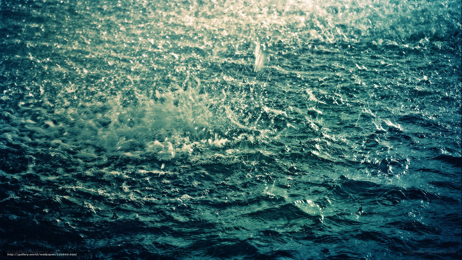 rain on ocean surface
