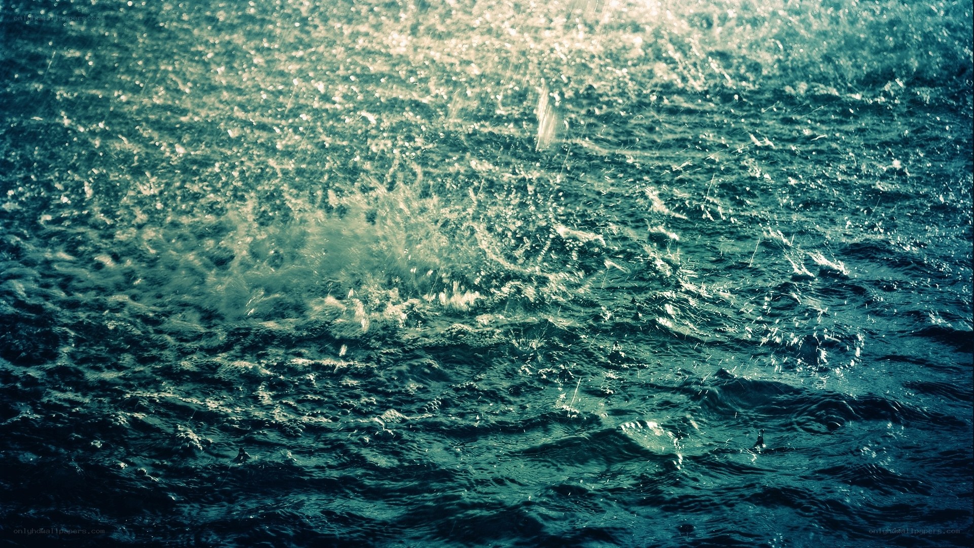 rain on water surface