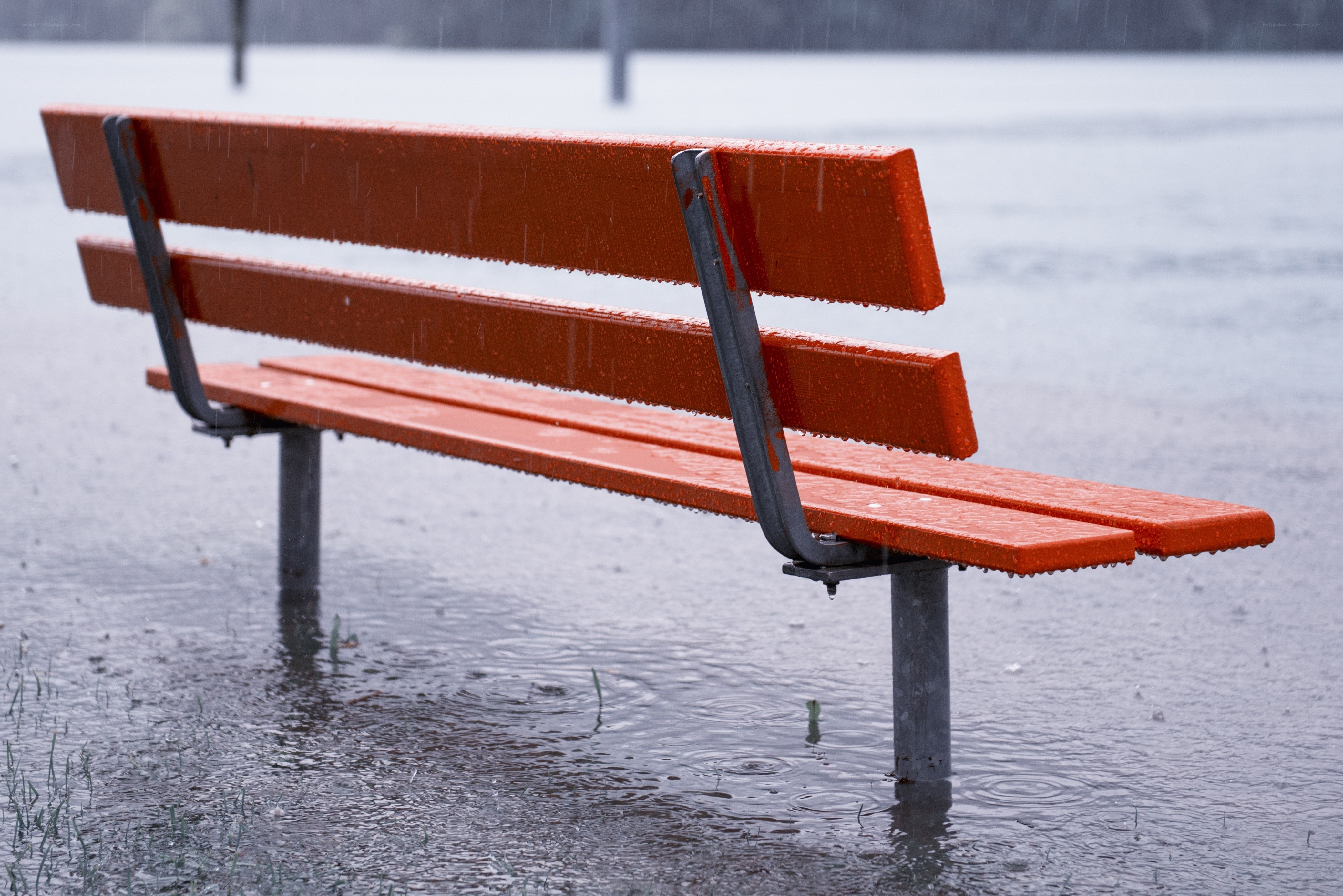 Rain-soaked park bench