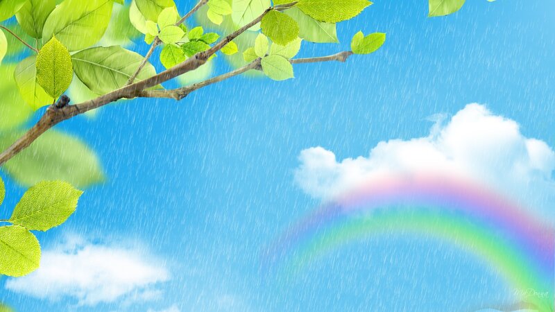 Rainbow After Rain