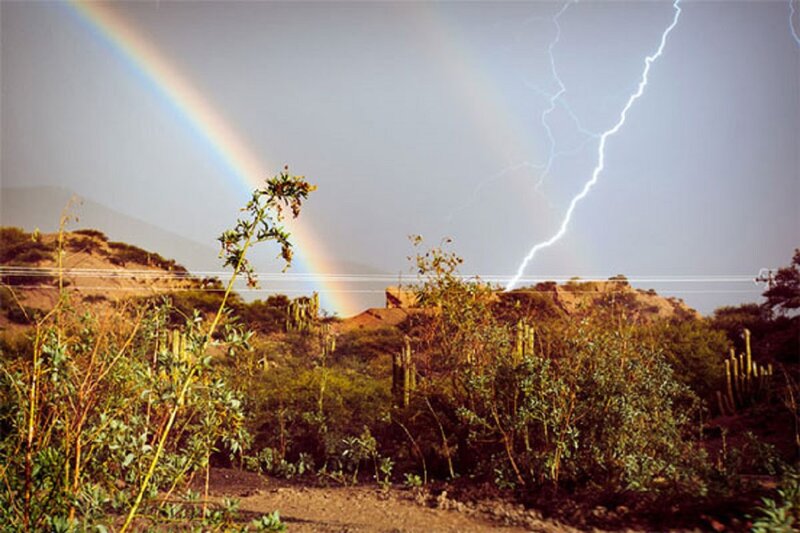 Rainbow and Lightning Storm — Brown
