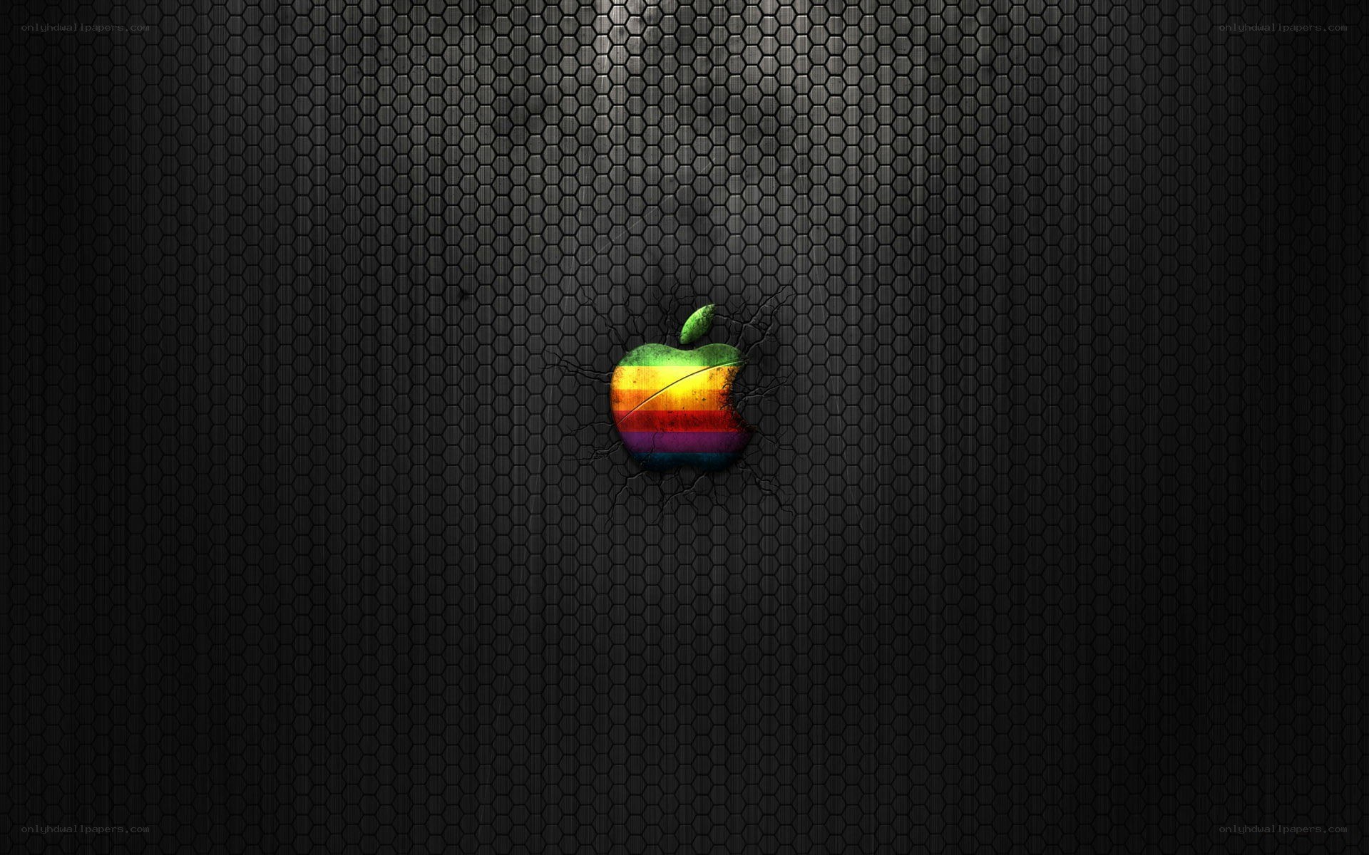 rainbow apple logo on dark mesh