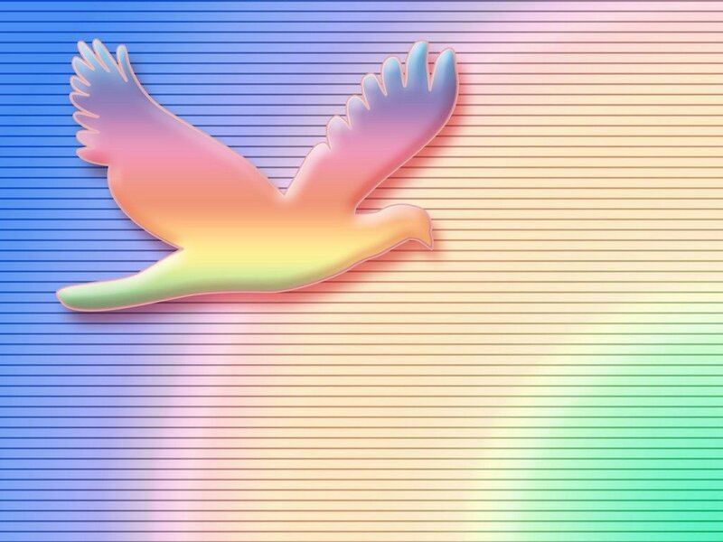 rainbow bird in flight