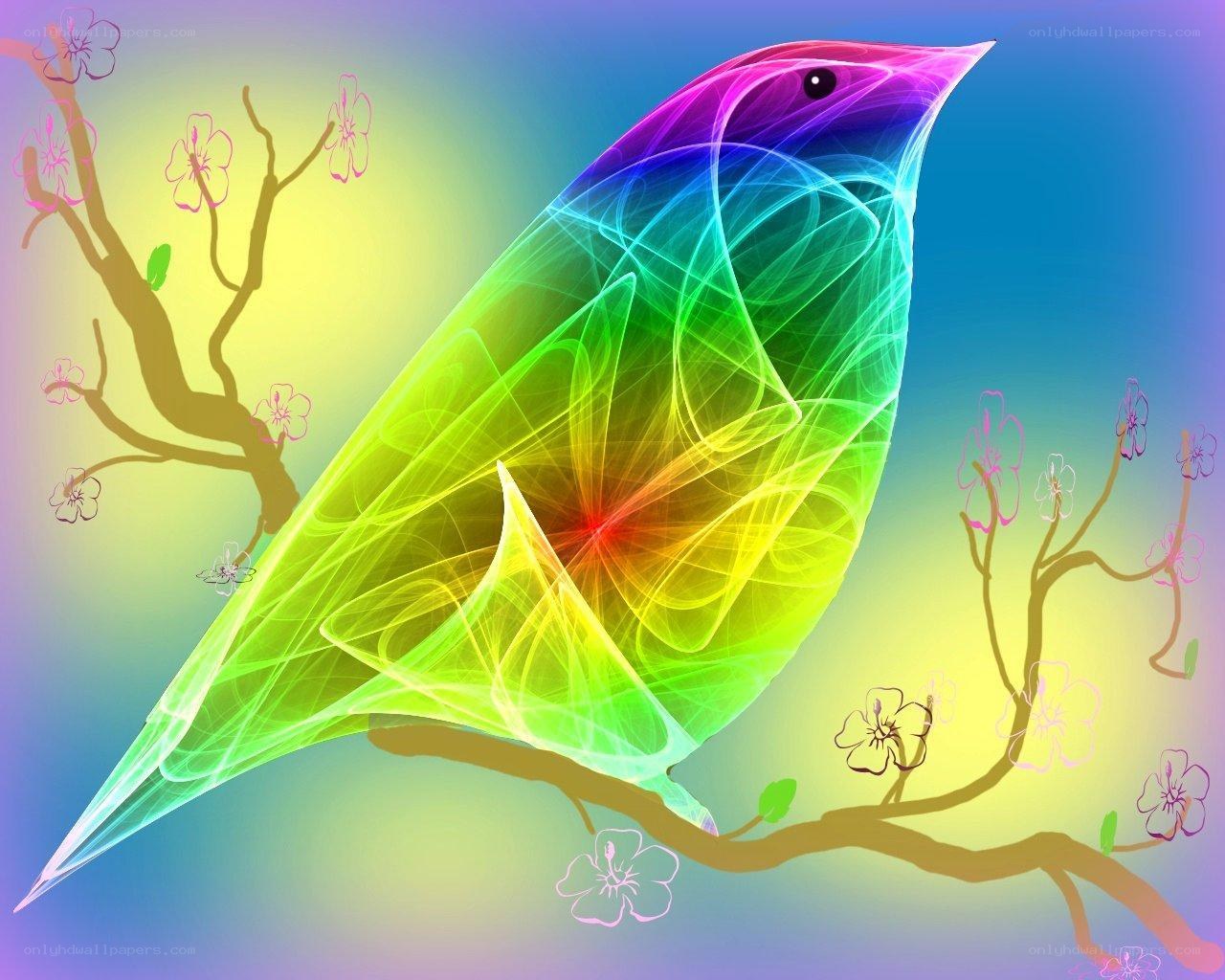 Rainbow bird on a branch