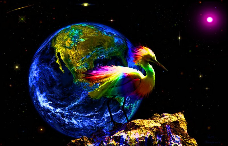 Rainbow Bird on Rock