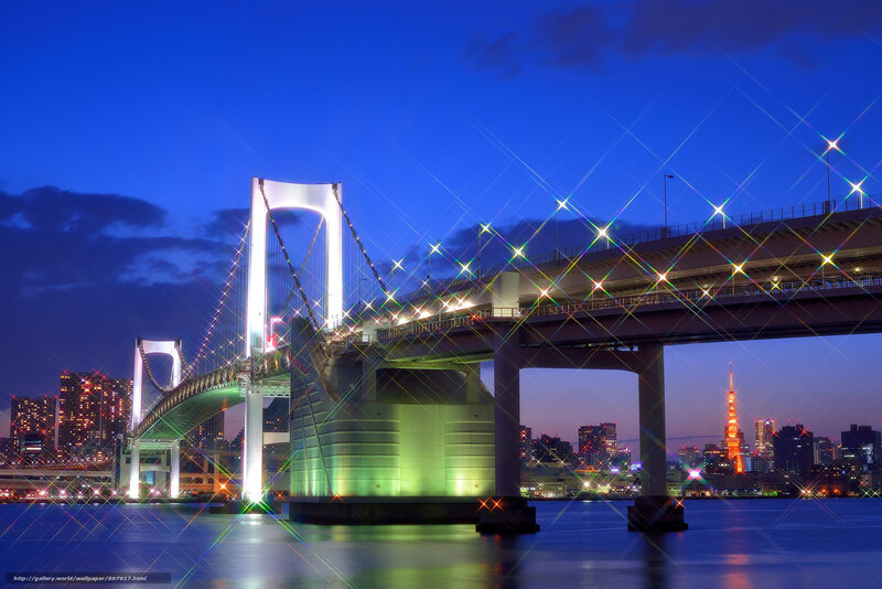 Rainbow Bridge at Night — Blue, Dramatic, Photograph, Tokyo Tower
