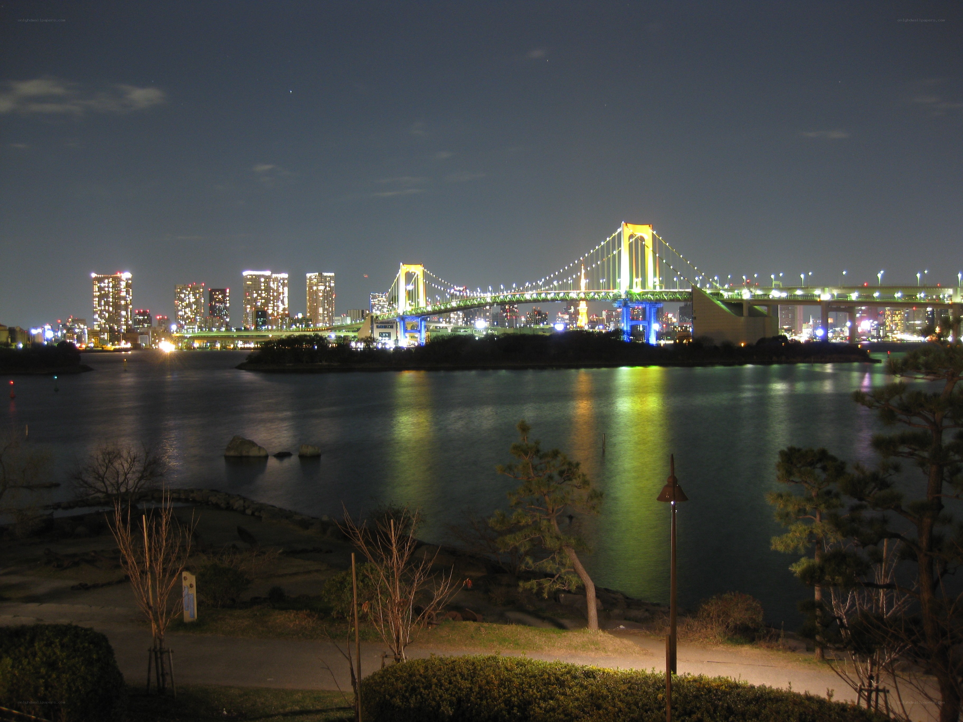 Rainbow Bridge at night in Tokyo
