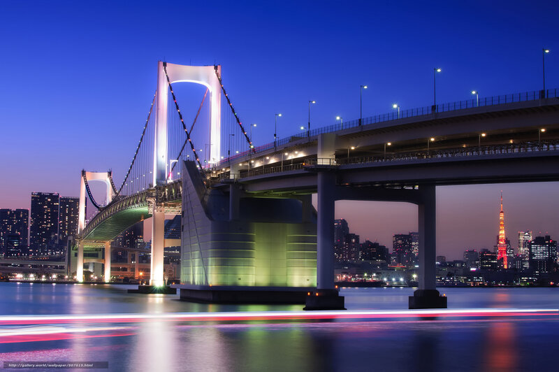 Rainbow Bridge at night in Tokyo