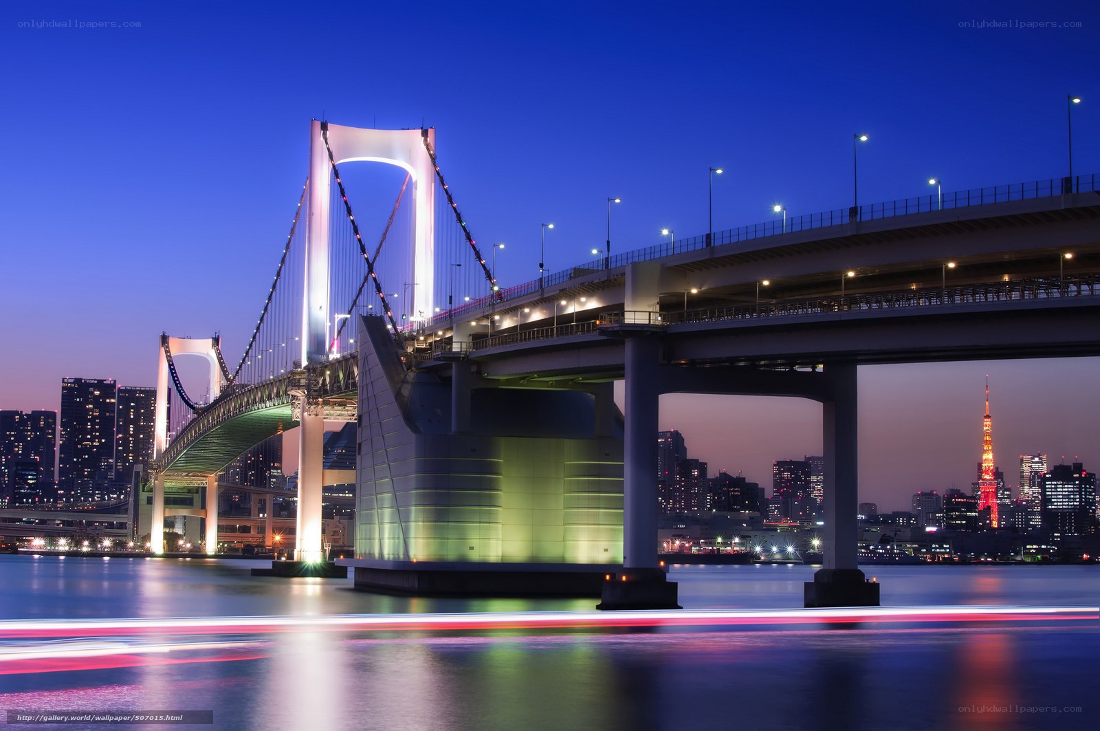 Rainbow Bridge at night in Tokyo