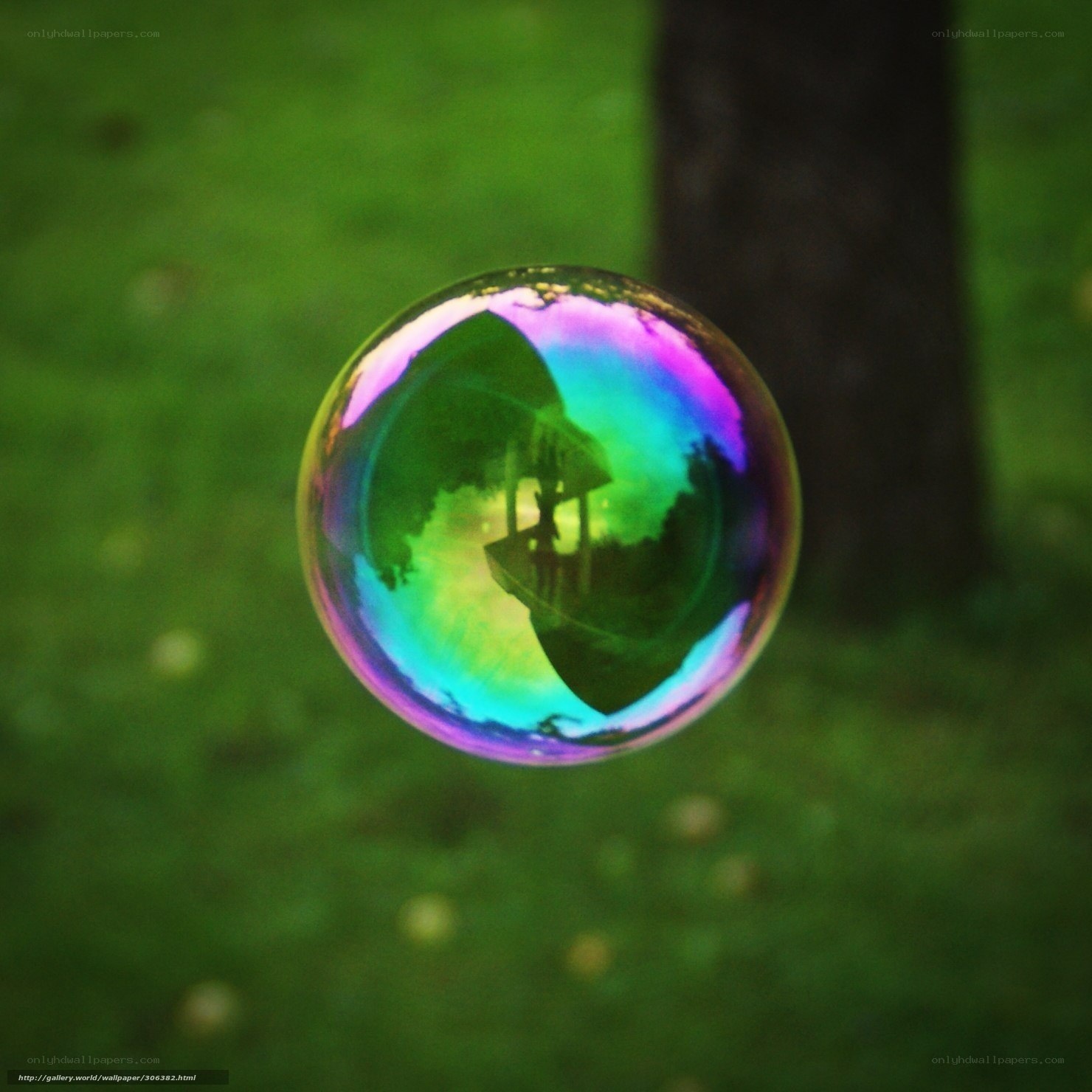 Rainbow bubble in garden