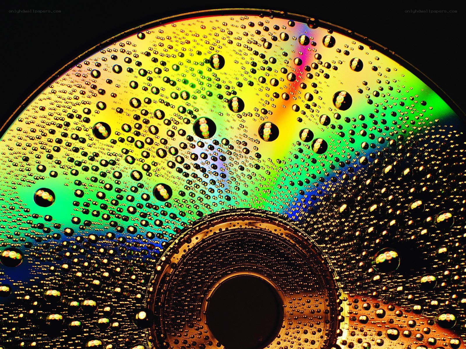 Rainbow CD with water droplets