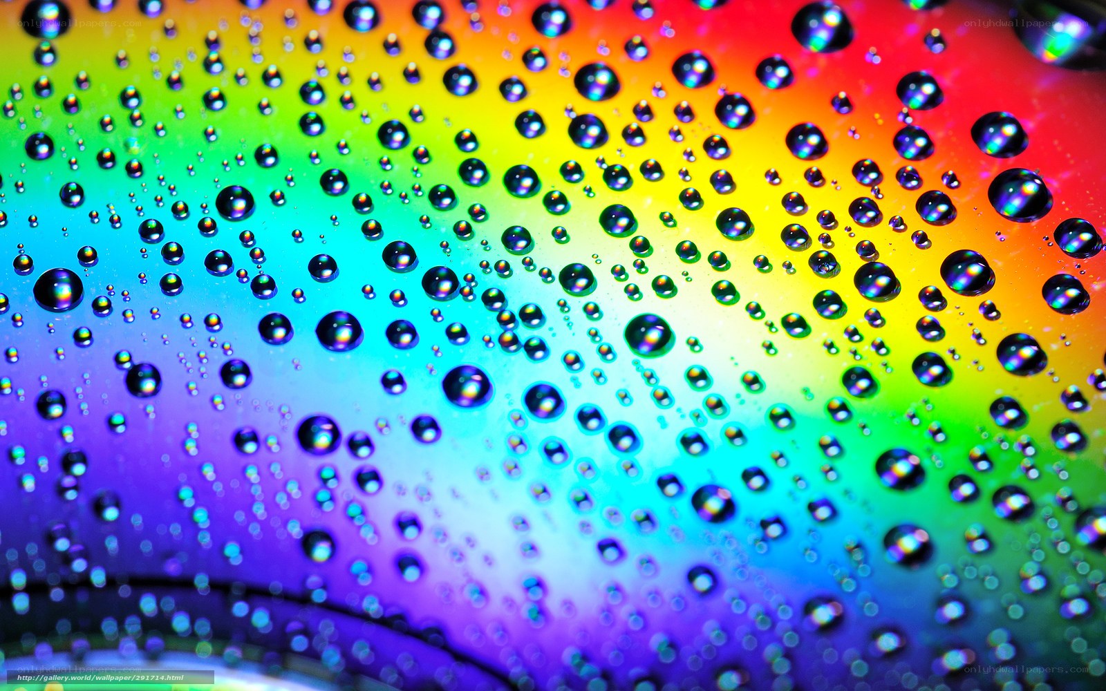 Rainbow CD with water droplets
