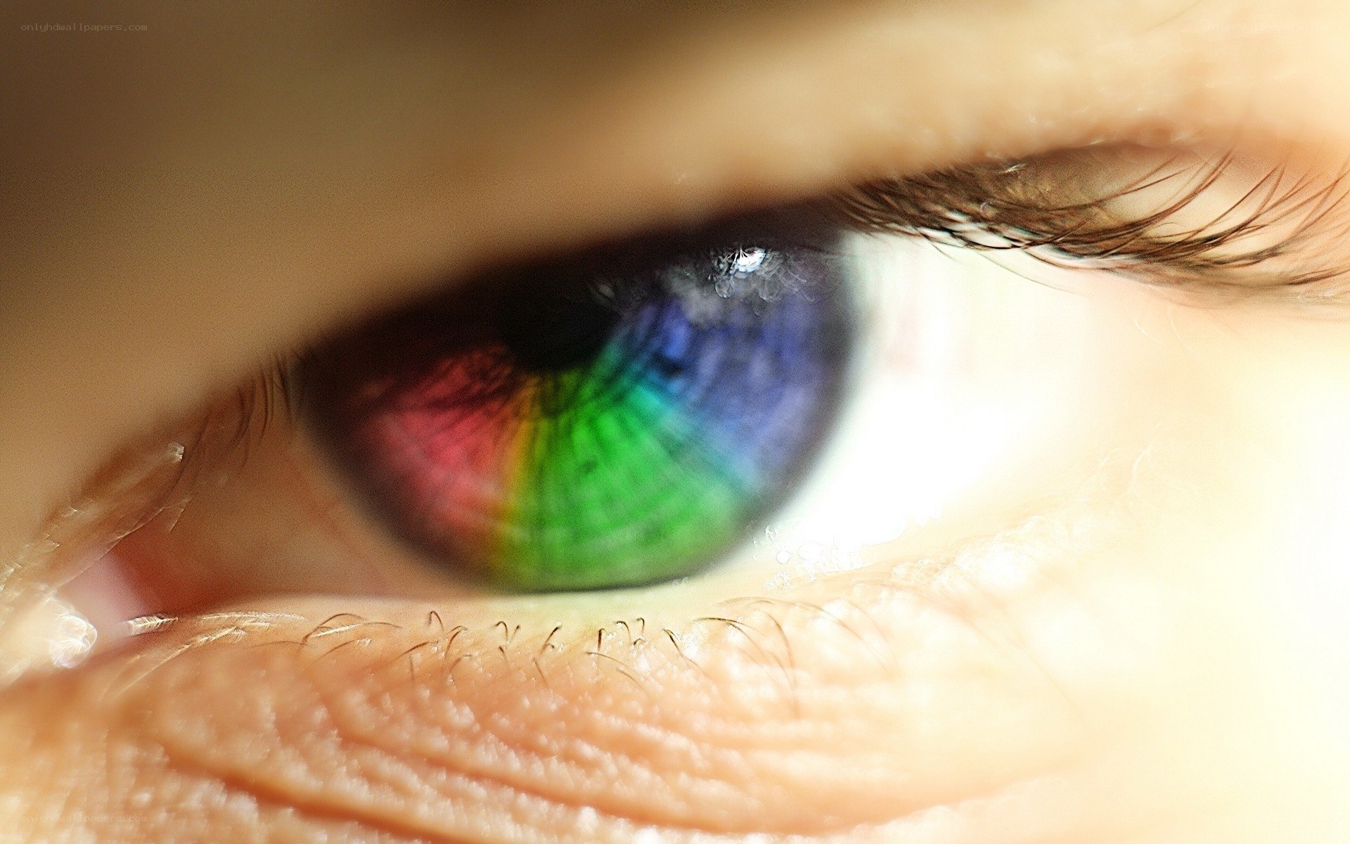 rainbow-colored eye close-up