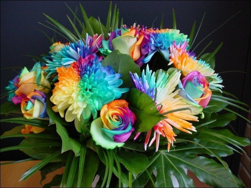 Rainbow-colored Flower Bouquet — Rainbow, Vibrant