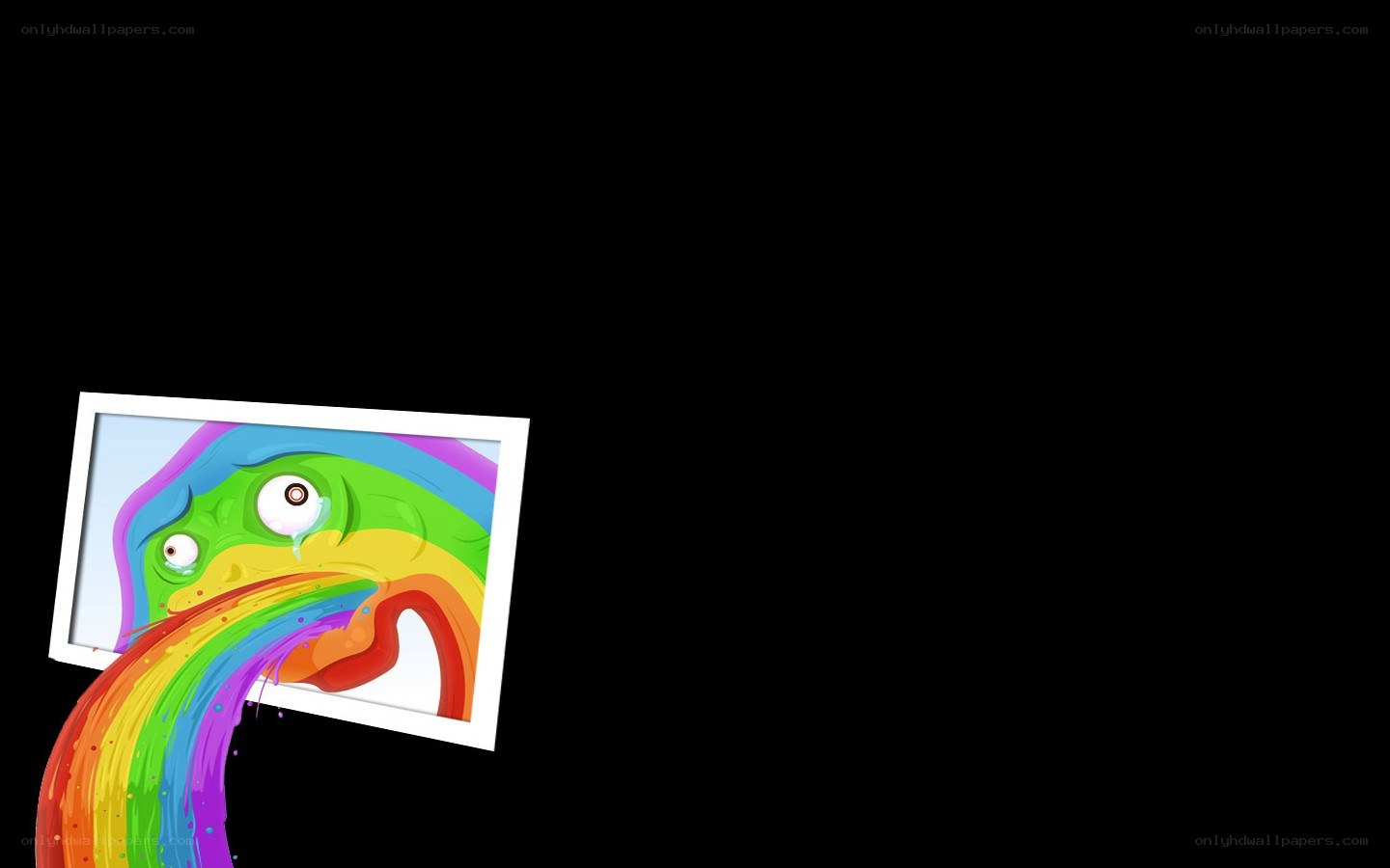 rainbow creature photo