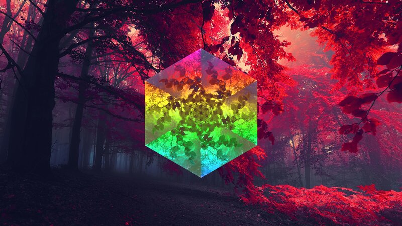 Rainbow Cube in Forest
