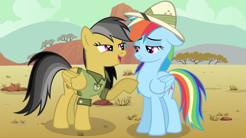 Rainbow Dash and a guide