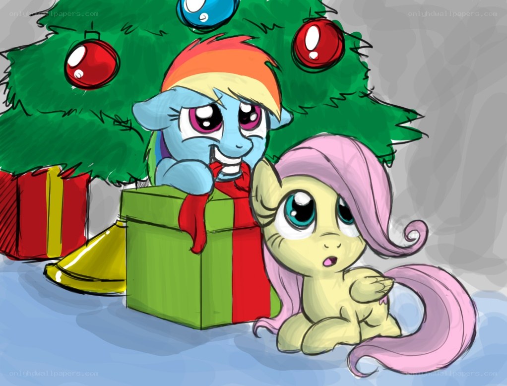 Rainbow Dash and Fluttershy at Christmas