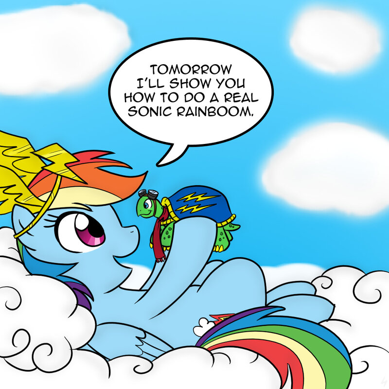 rainbow dash and tank