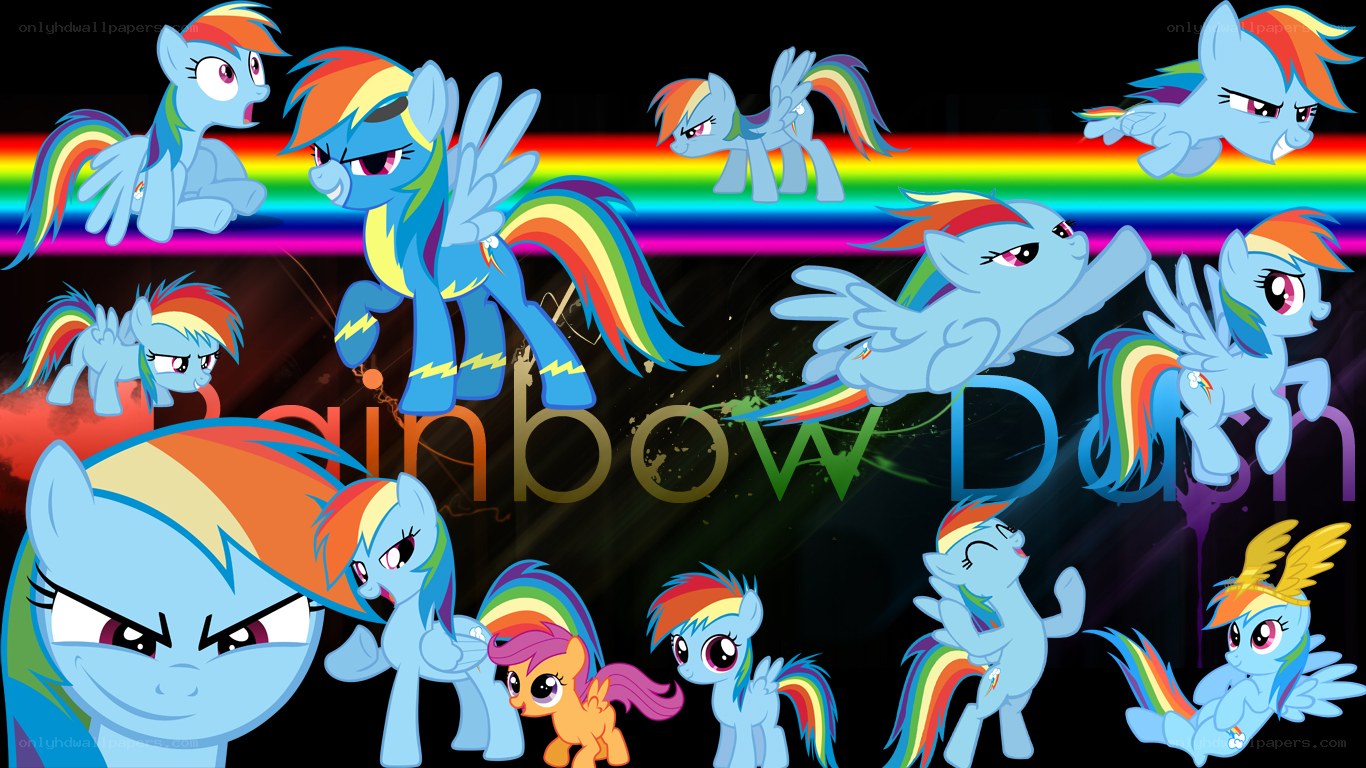 Rainbow Dash collage