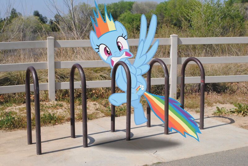 Rainbow Dash cutout at bike rack