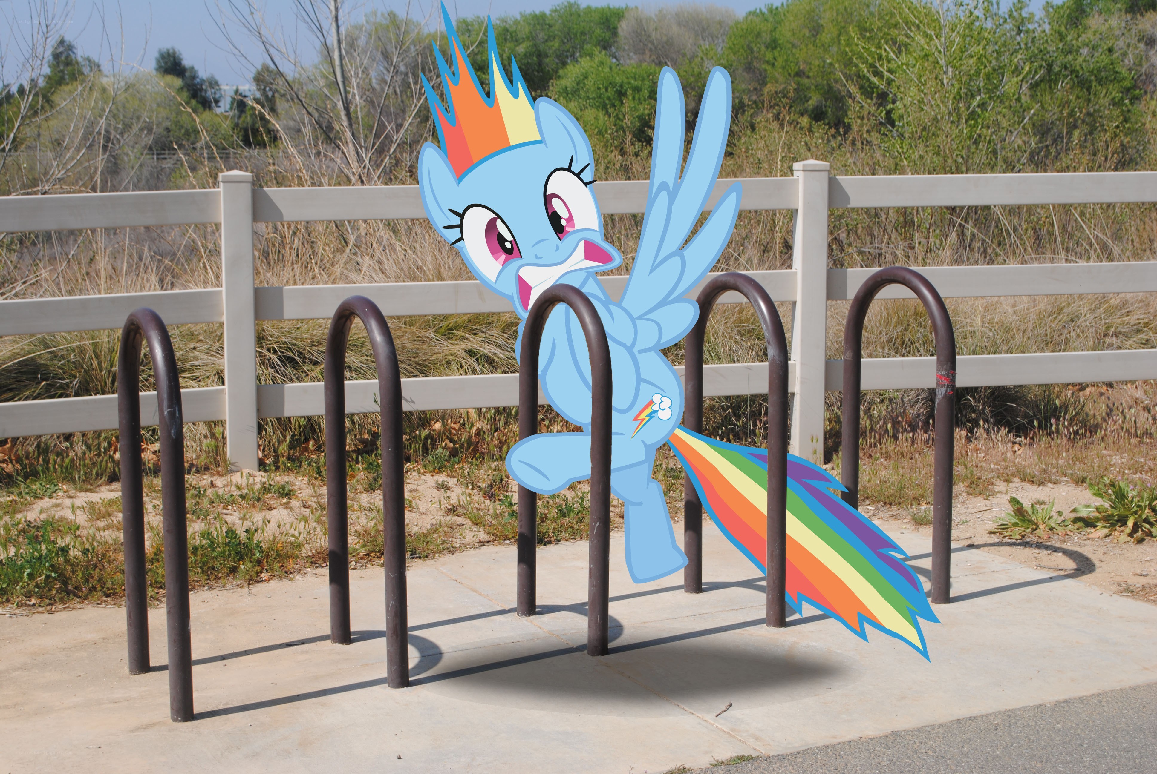Rainbow Dash cutout at bike rack