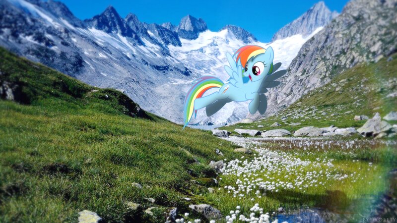 Rainbow Dash Flying — Blue, Serene