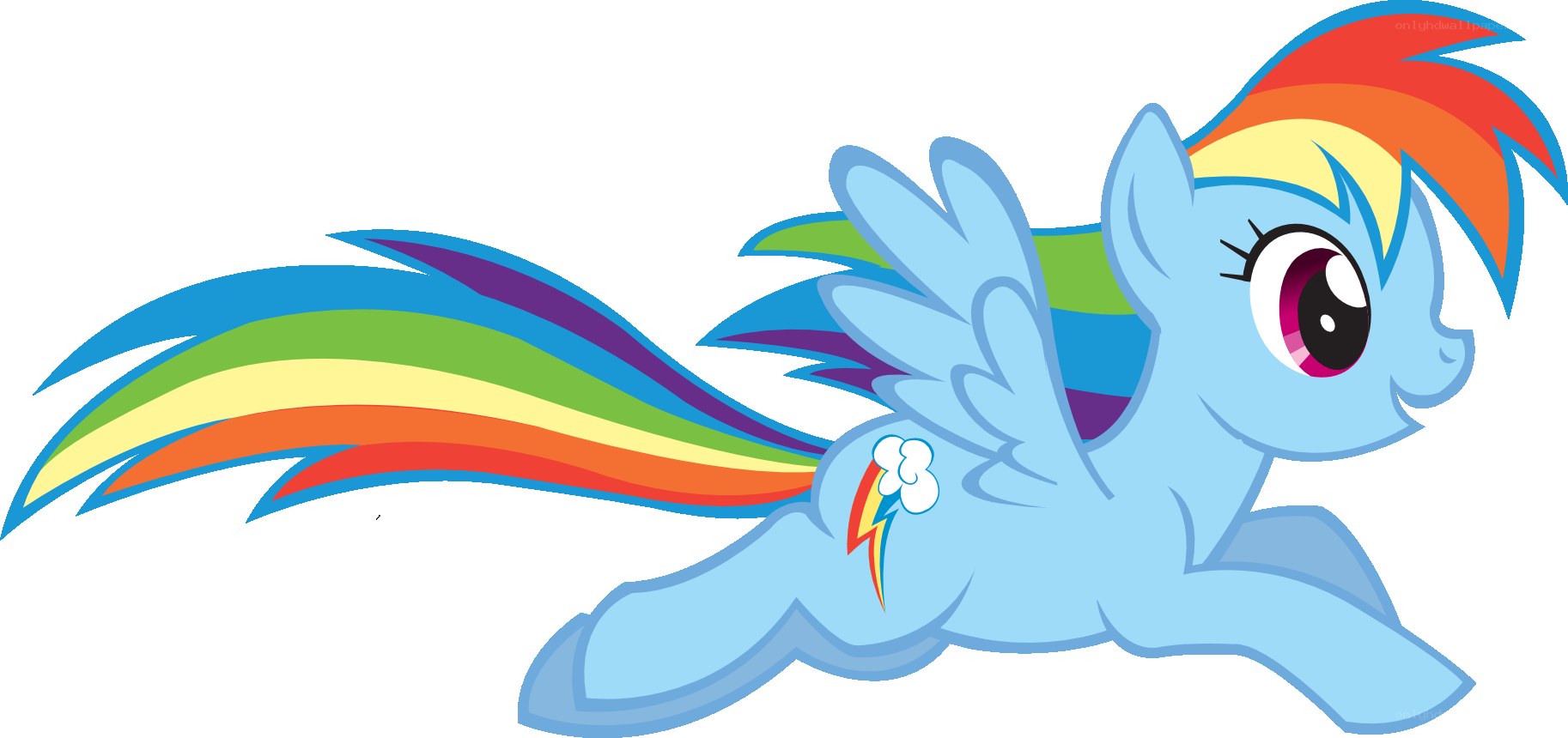 Rainbow Dash from My Little Pony