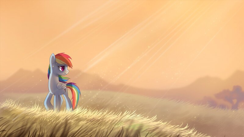 Rainbow Dash in a field