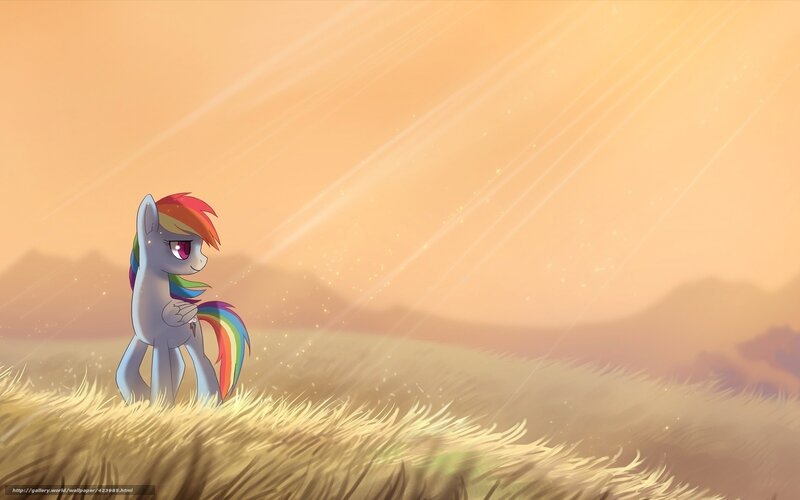 rainbow dash in sunset