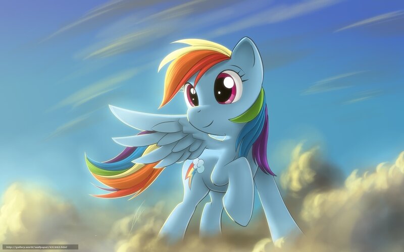 Rainbow Dash in the sky
