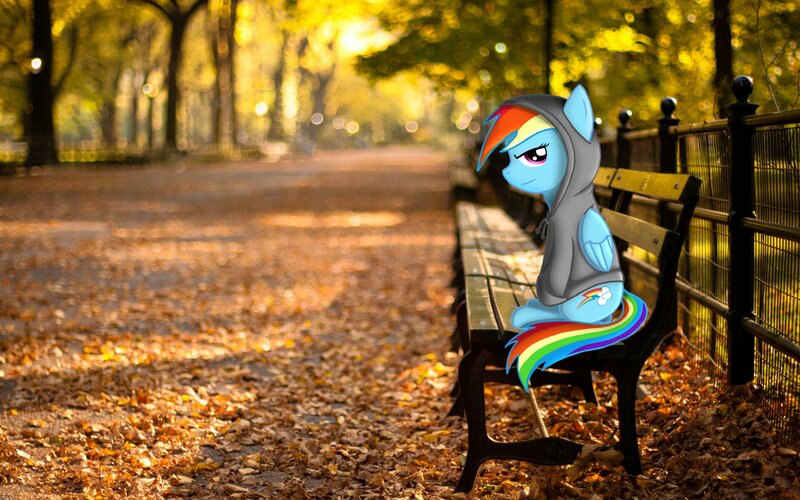 Rainbow Dash on Bench