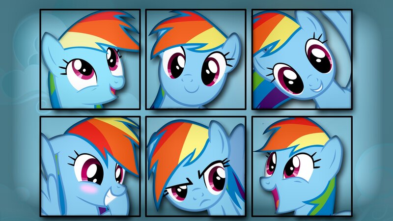 Rainbow Dash Pony Faces