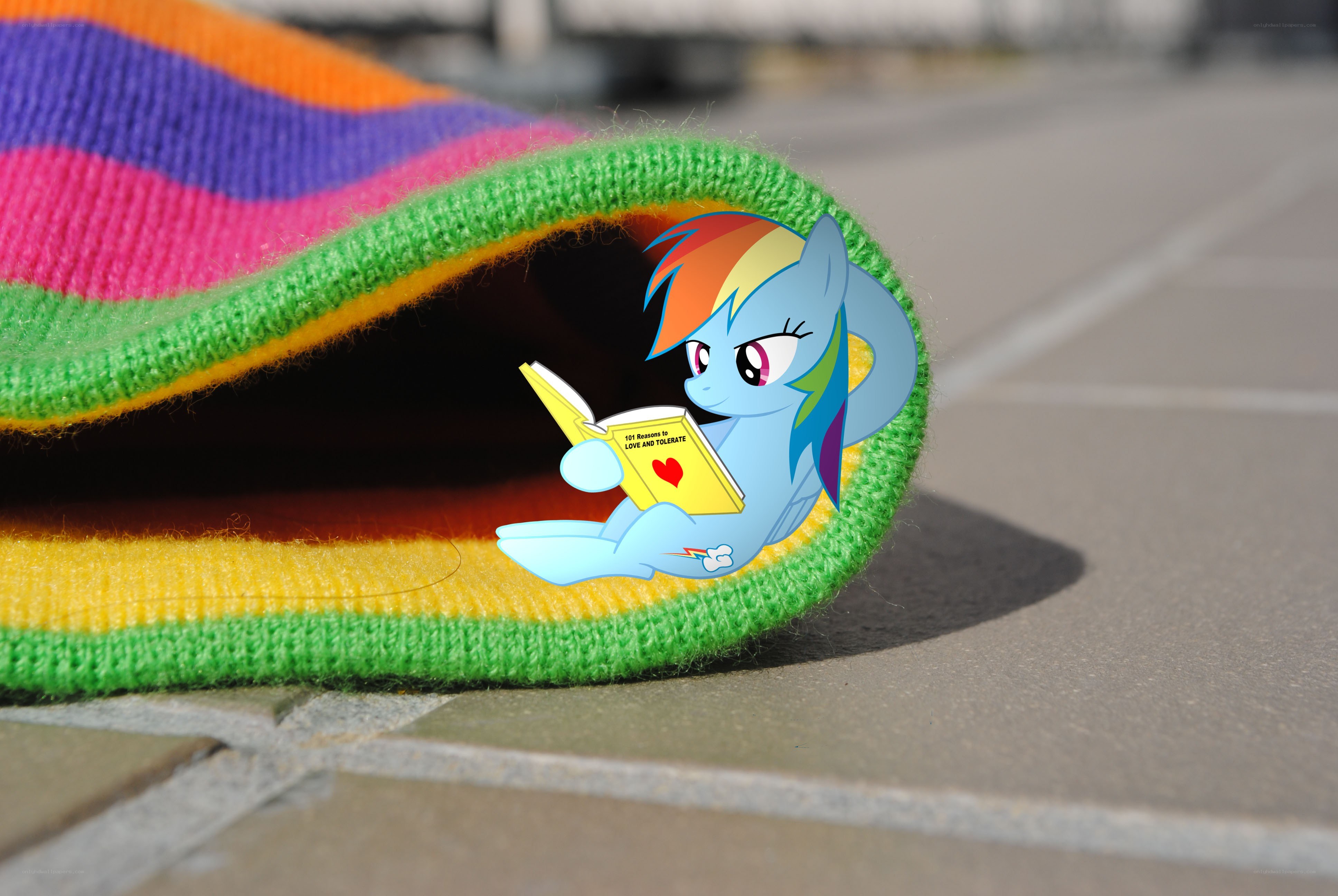 Rainbow Dash reading a book