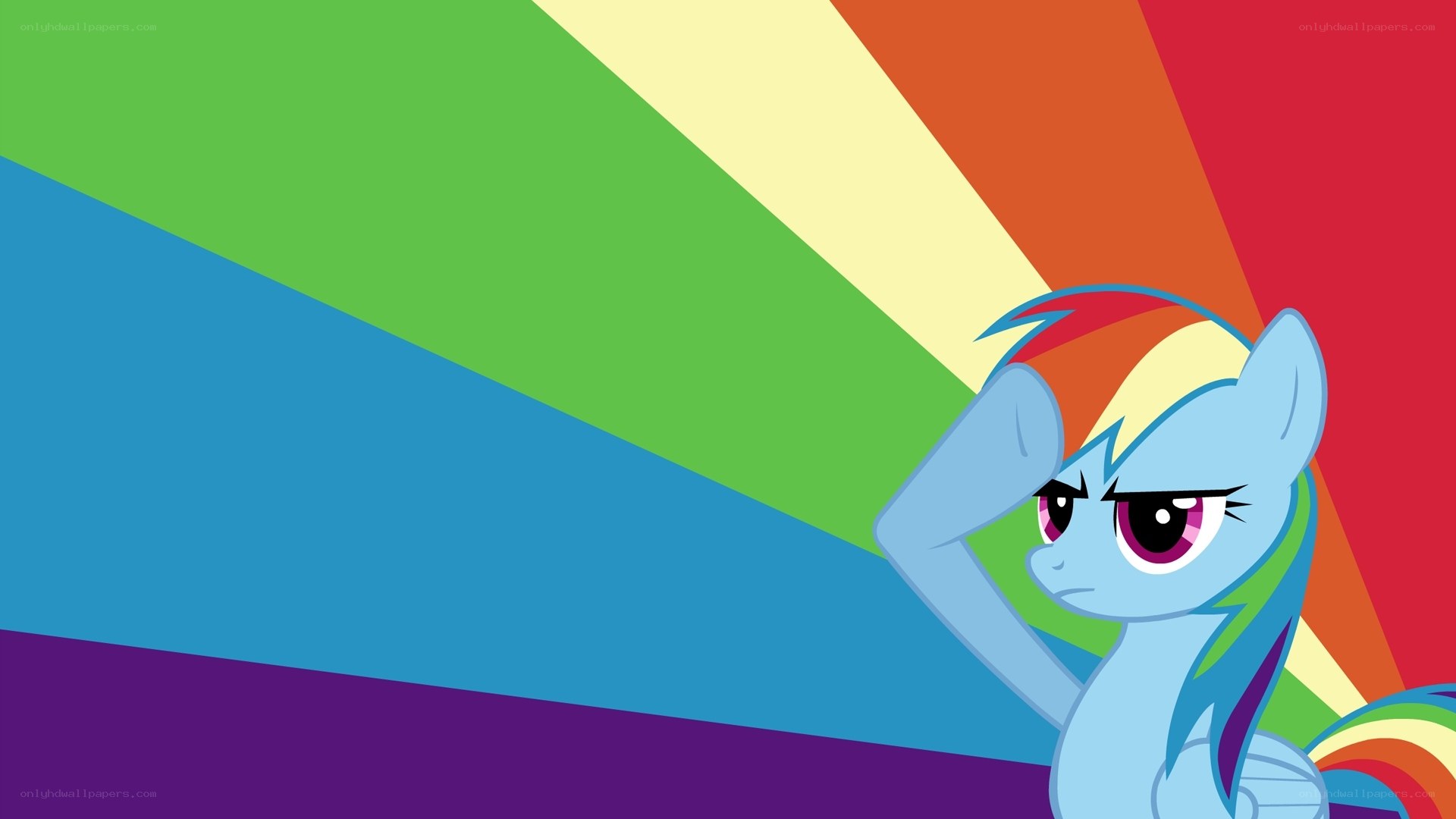 rainbow dash with rainbow background