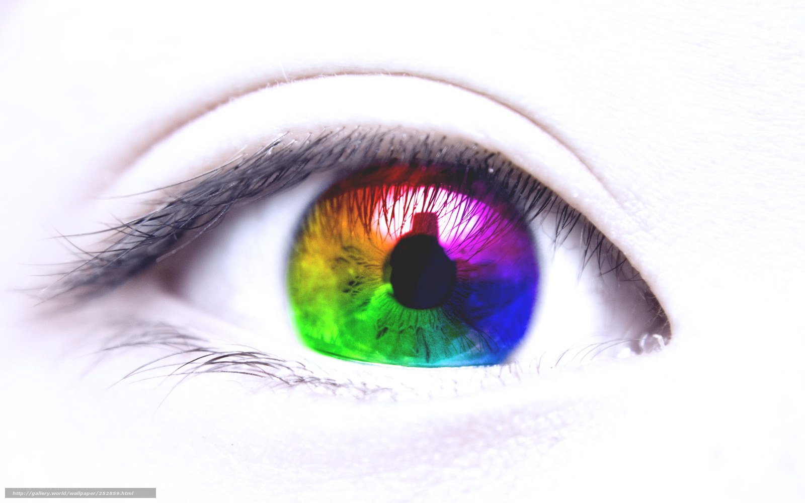 rainbow eye close-up
