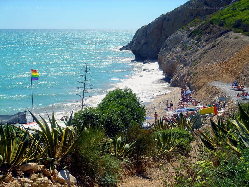 Rainbow flag on a sunny beach