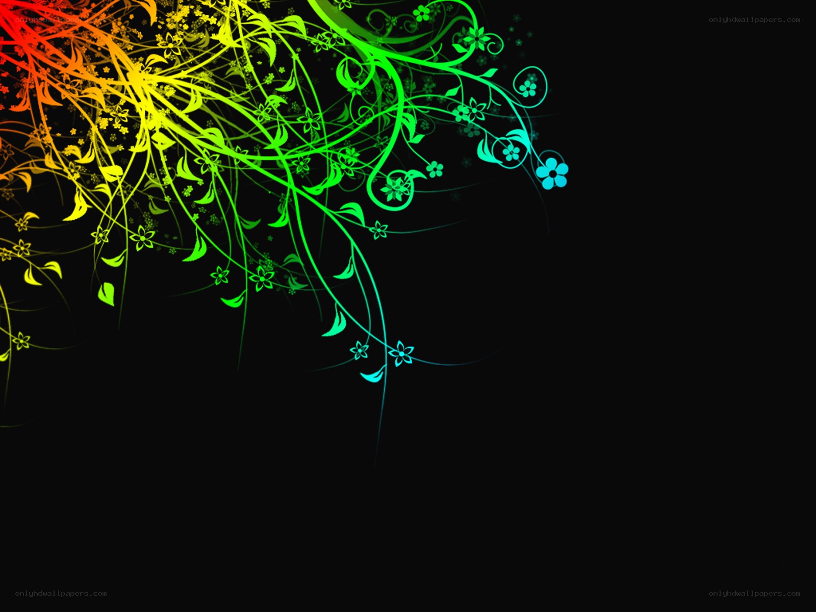 rainbow floral design
