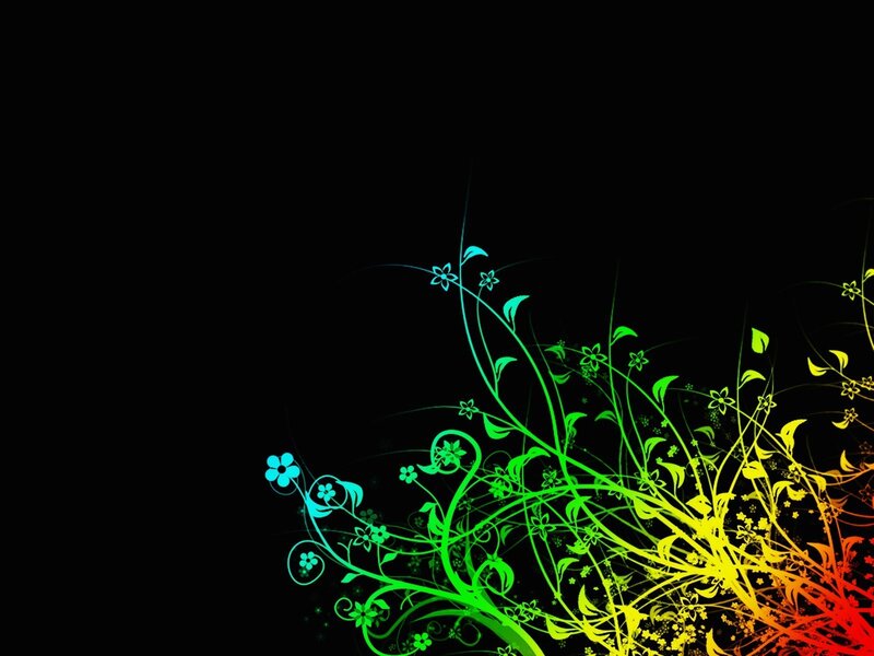 rainbow floral design